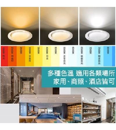 LED 10W 12CM 4吋 崁燈