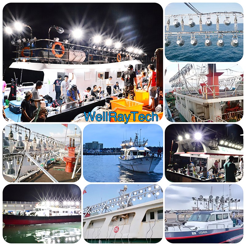 200W LED Fish Lamp